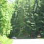 IMG_9287.jpg
