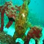 DSC00029.JPG