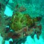 DSC00048.JPG
