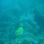 DSC00068.JPG