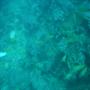 DSC00071.JPG