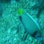 DSC00084.JPG