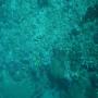 DSC00108.JPG
