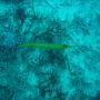 DSC00114.JPG