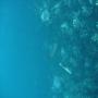 DSC00118.JPG