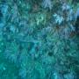 DSC00132.JPG
