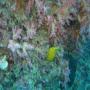 DSC00134.JPG