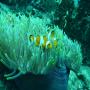 DSC00140.JPG