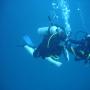 DSC00145.JPG