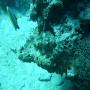DSC00165.JPG