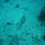 DSC00166.JPG