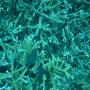 DSC00169.JPG