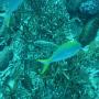 DSC00175.JPG