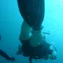DSC00192.JPG