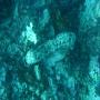DSC00203.JPG