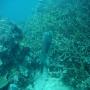 DSC00206.JPG