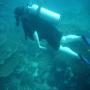 DSC00220.JPG