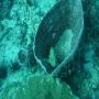 DSC00229.JPG