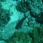 DSC00234.JPG
