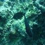 DSC00244.JPG